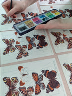 Person painting details on butterfly prints with pearlescent watercolours.
