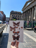 Butterfly design risograph print held in front of a Glasgow city street with buildings and a statue.