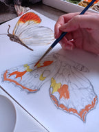 Person painting a butterfly with orange and yellow details on a white surface. 