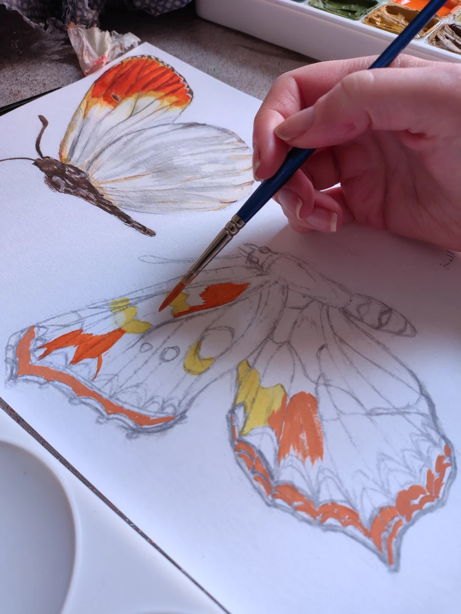 Person painting a butterfly with orange and yellow details on a white surface. 