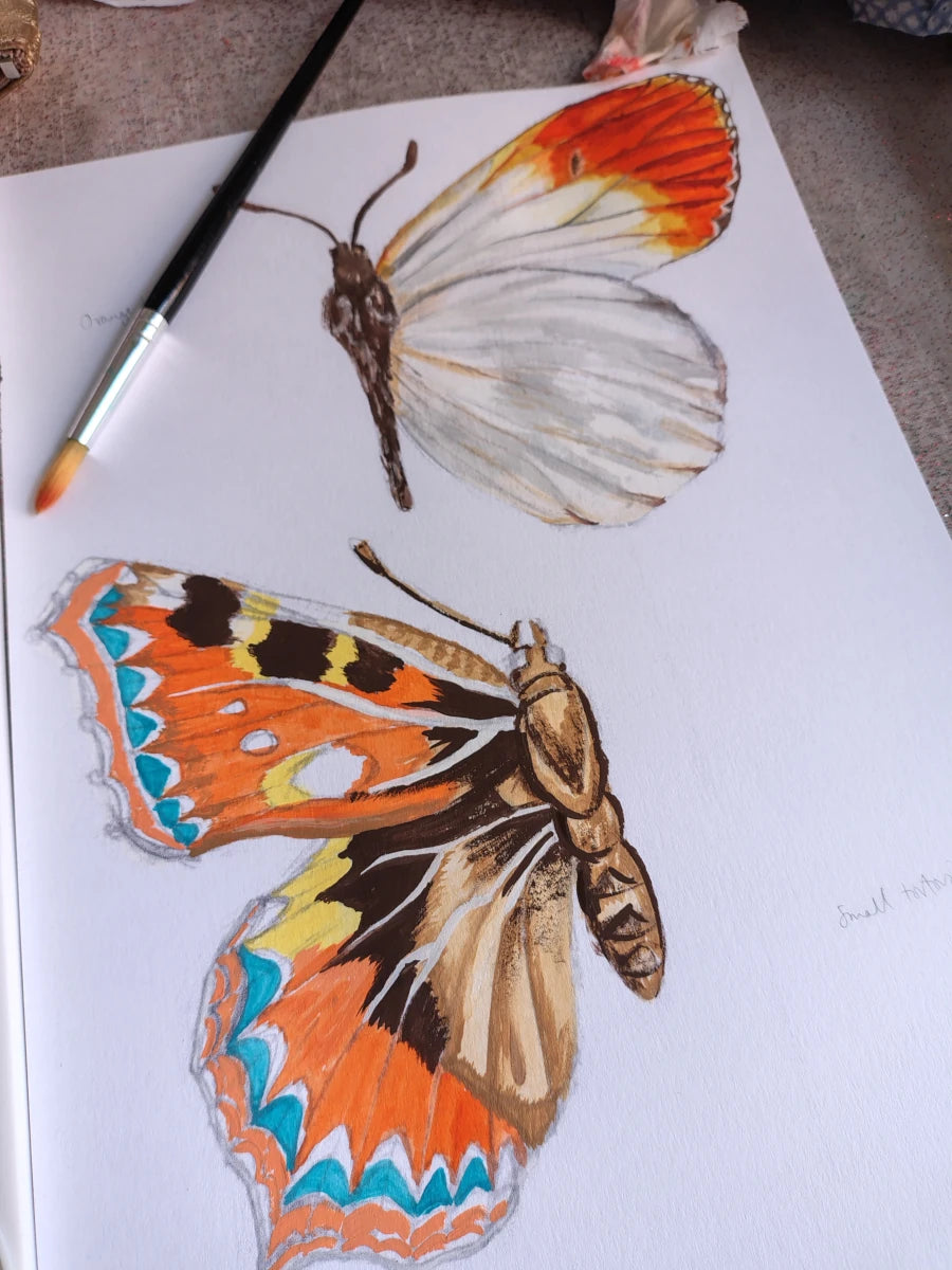 Colorful butterfly gouache illustrations on paper with a paintbrush. For a risograph print with butterflies of Glasgow.