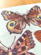 Risograph printed Illustration of butterflies on a white background with pearlescent paint detail.