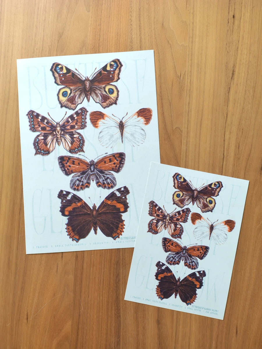 Butterfly print illustrations on A4 and A5 paper. Risograph print of butterflies of Glasgow.
