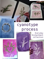 A collage of pressed botanical art prints and process shots with the text 'cyanotype process' and 'Everyday Enchantment collection.' Multiple hands are visible arranging plant stems on cyanotype paper, showing the making-of-art process rather than a single finished product in a standard catalogue shot.