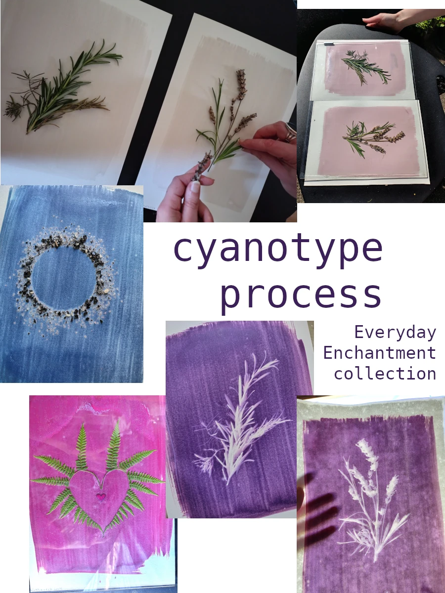 A collage of pressed botanical art prints and process shots with the text 'cyanotype process' and 'Everyday Enchantment collection.' Multiple hands are visible arranging plant stems on cyanotype paper, showing the making-of-art process rather than a single finished product in a standard catalogue shot.
