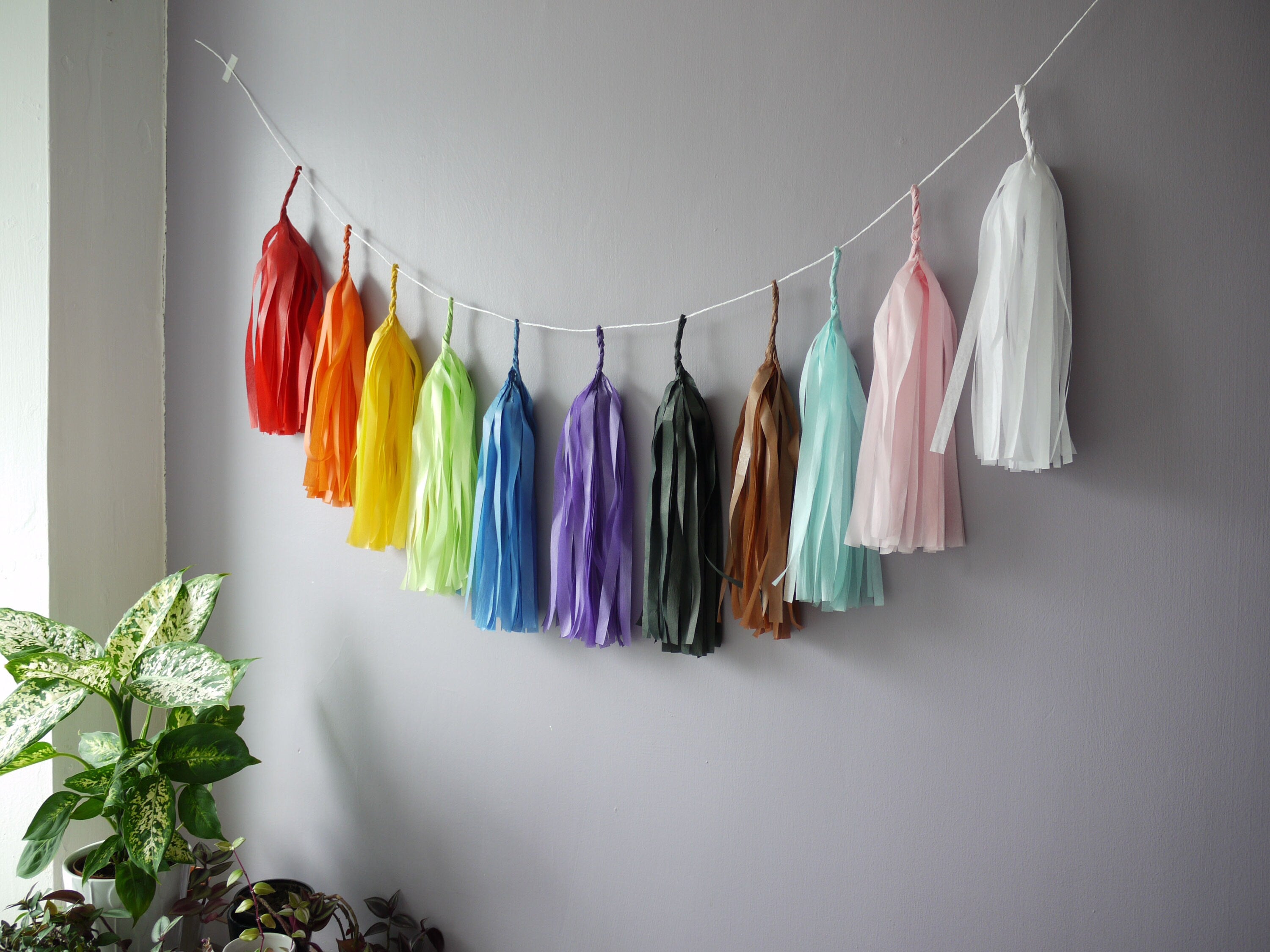 Colourful LGBTQIA+ tassel garlands on a mauve wall with a houseplant to the side
