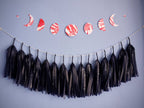 Pink and red moon phases paper garland above a navy tassel garland with a silver constellation print