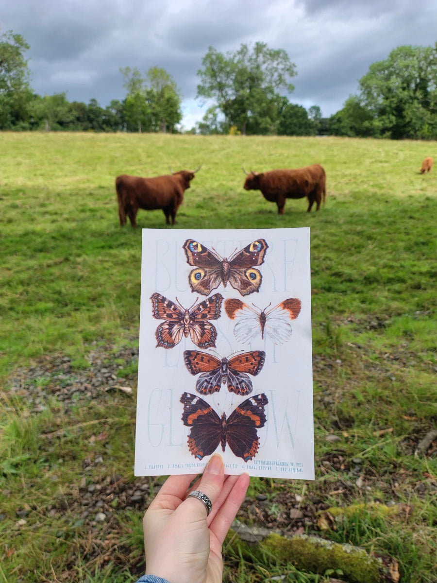 Riso print of butterflies with Highland cows in a field as the backdrop in Pollock Park, Glasgow.