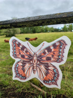 An illustrated small tortoiseshell riso print butterfly shape from a butterfly garland. Naturalist home decor hanging outdoors in a grassy field with a fence and distant highland cows.