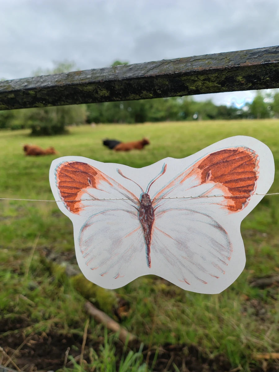 An illustrated orange tip riso print butterfly shape from a butterfly garland. Naturalist home decor hanging outdoors in a grassy field with a fence and distant highland cows.