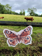 An illustrated peacock riso print butterfly shape from a butterfly garland. Naturalist home decor hanging outdoors in a grassy field with a fence and distant highland cows.