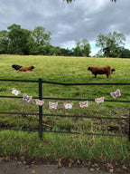 An illustrated riso print butterfly garland featuring common butterflies in Glasgow. Naturalist home decor hanging outdoors in a grassy field with a fence and distant highland cows.