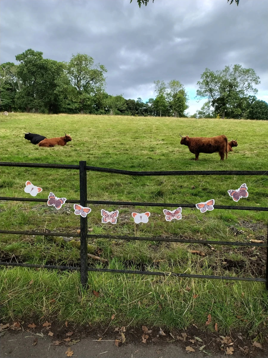 An illustrated riso print butterfly garland featuring common butterflies in Glasgow. Naturalist home decor hanging outdoors in a grassy field with a fence and distant highland cows.