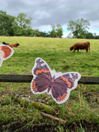An illustrated red admiral riso print butterfly shape from a butterfly garland. Printed with brown, black, and orange wings hanging on a fence in a grassy field, with highland cows and trees blurred in the background. 