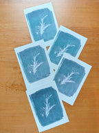 Unique Cyanotypes | Everyday Enchantment | Riso print A6