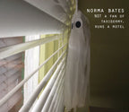 A spooky but cute white tissue paper ghost decoration with eyes hanging next to closed white window blinds, with the text 'NORMA BATES NOT A FAN OF TAXIDERMY, RUNS A MOTEL' in the upper right.
