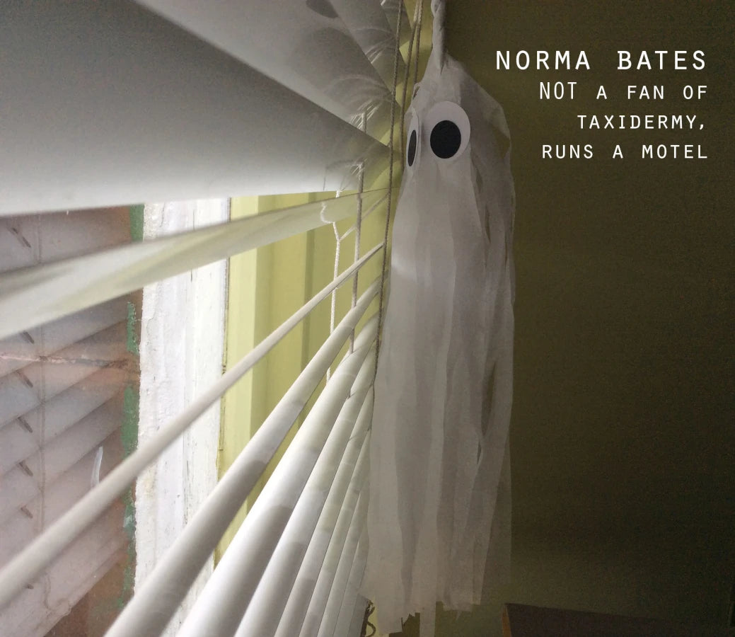 A spooky but cute white tissue paper ghost decoration with eyes hanging next to closed white window blinds, with the text 'NORMA BATES NOT A FAN OF TAXIDERMY, RUNS A MOTEL' in the upper right.